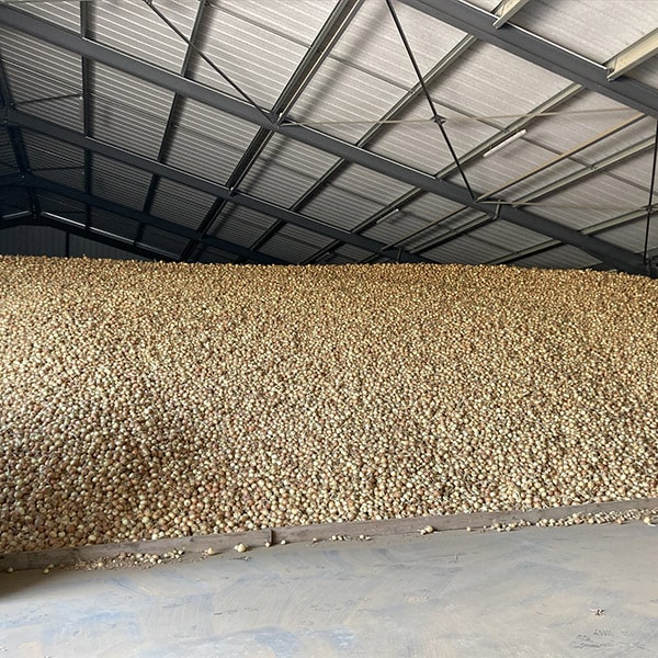 Fonctionnement SNCPT